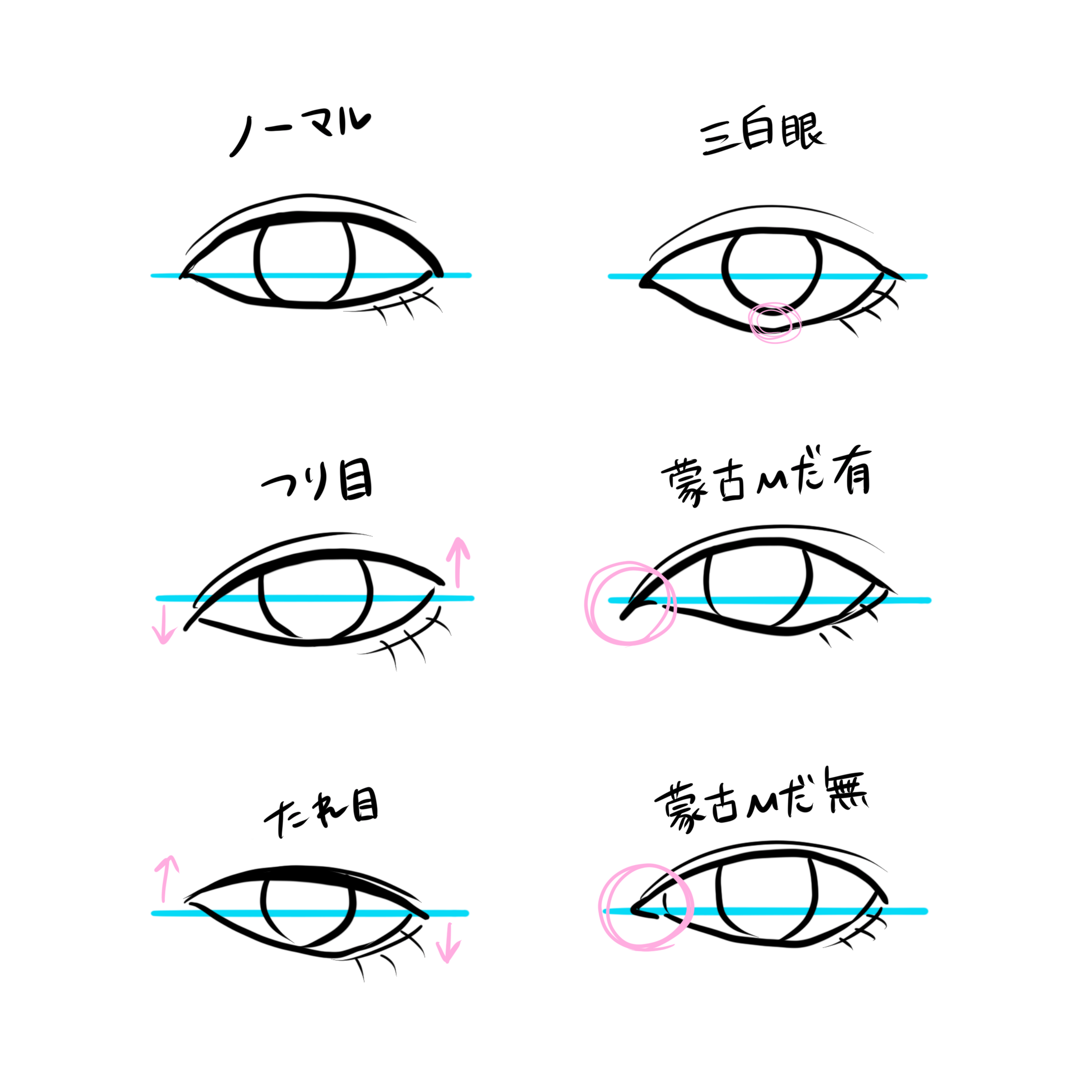 最速 つり目 たれ目 割合