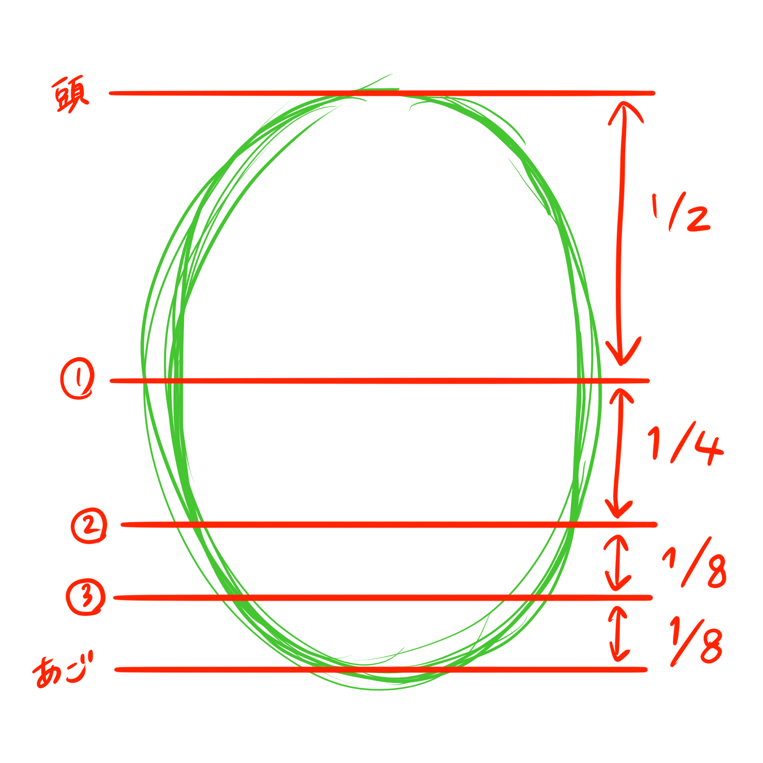 人の顔を描く時はアタリが大事です