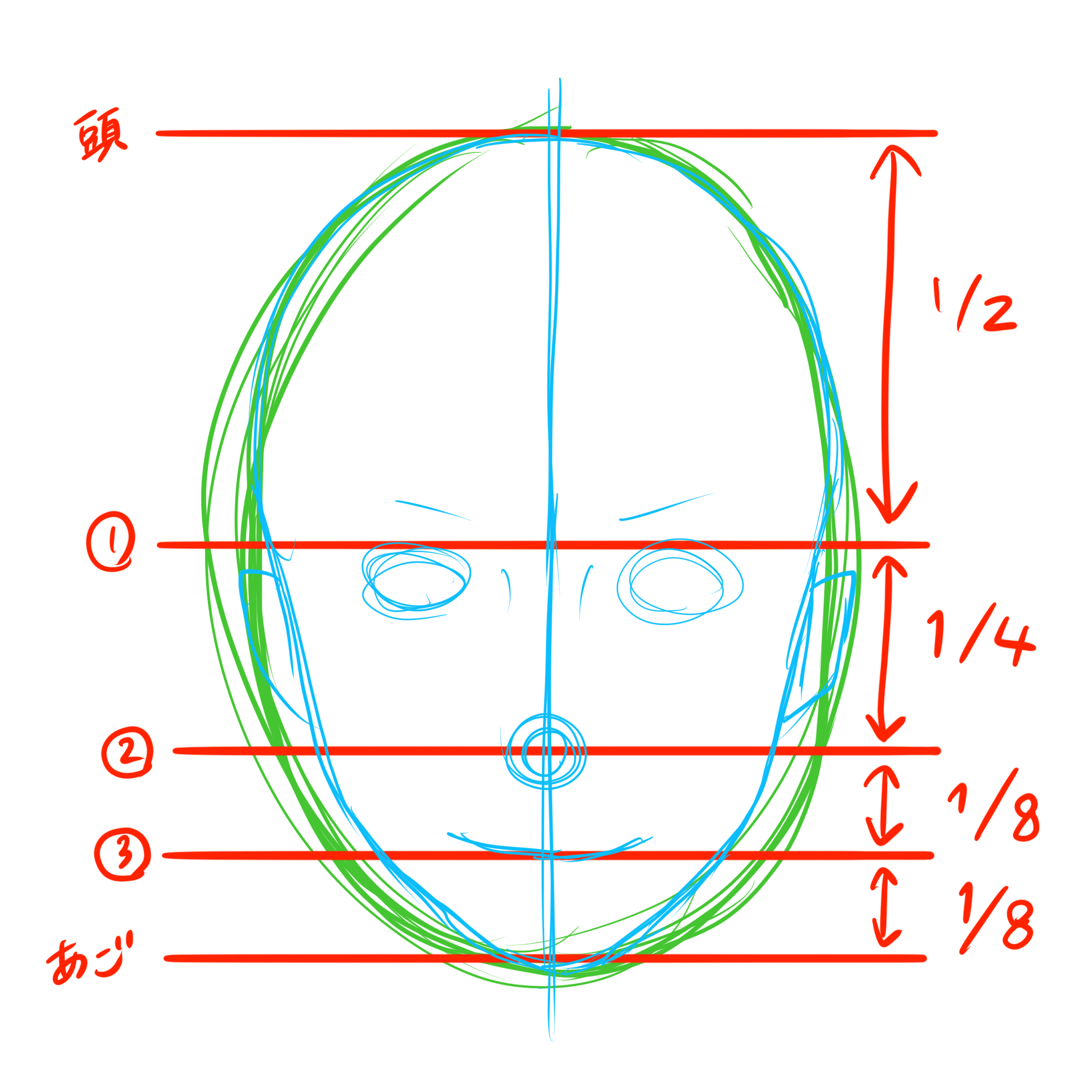 顔の描き方 これさえ押さえておけば初心者でもプロ並みに顔を描くことができます 株式会社esolab