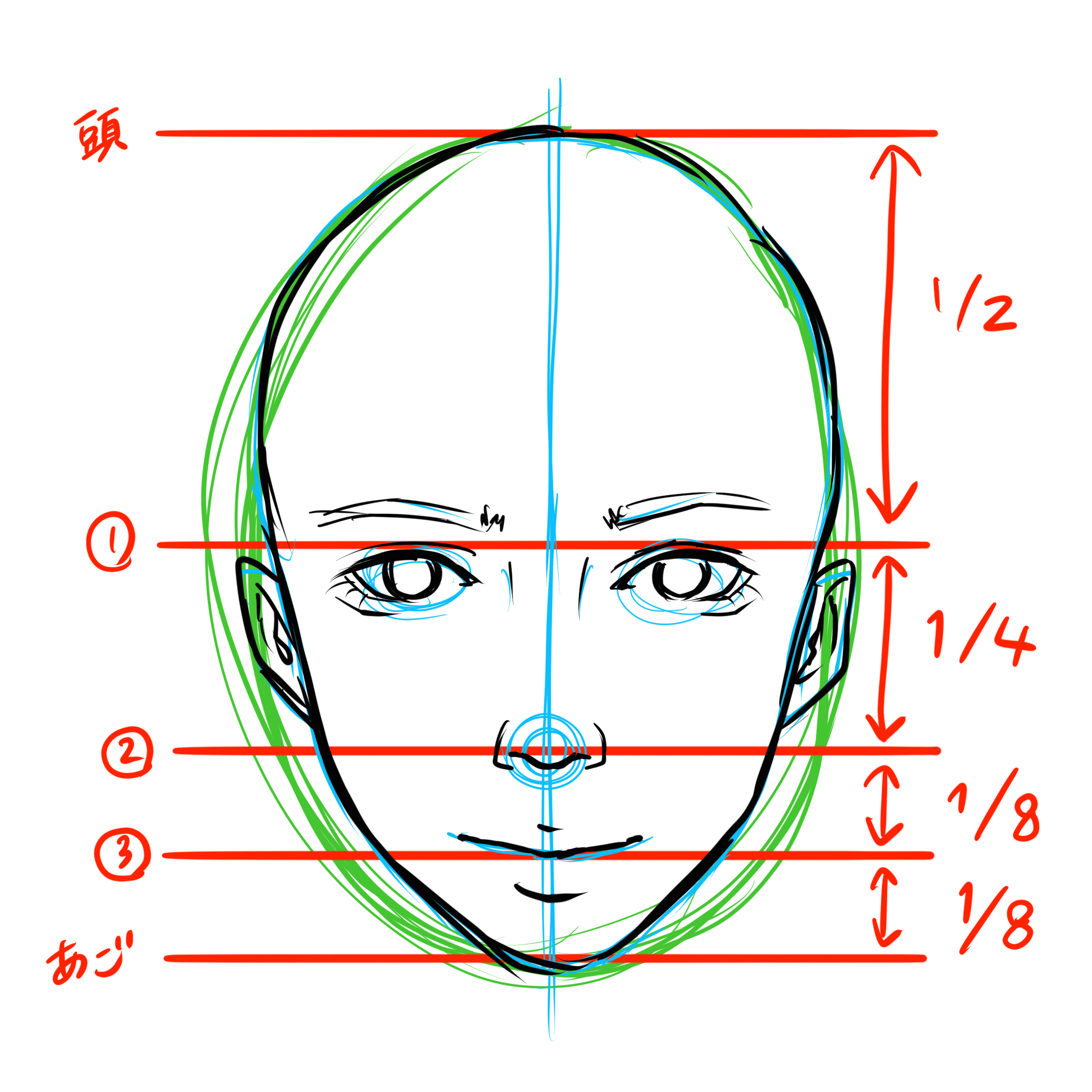 人の顔を描く時はアタリが大事です