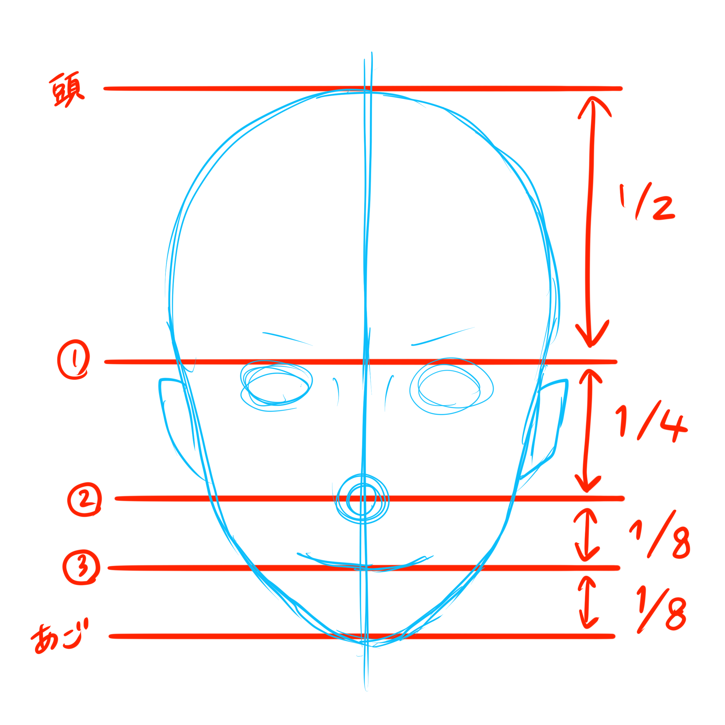 鼻の描き方 顔全体のバランスを担う鼻の描き方を徹底解説 株式会社esolab