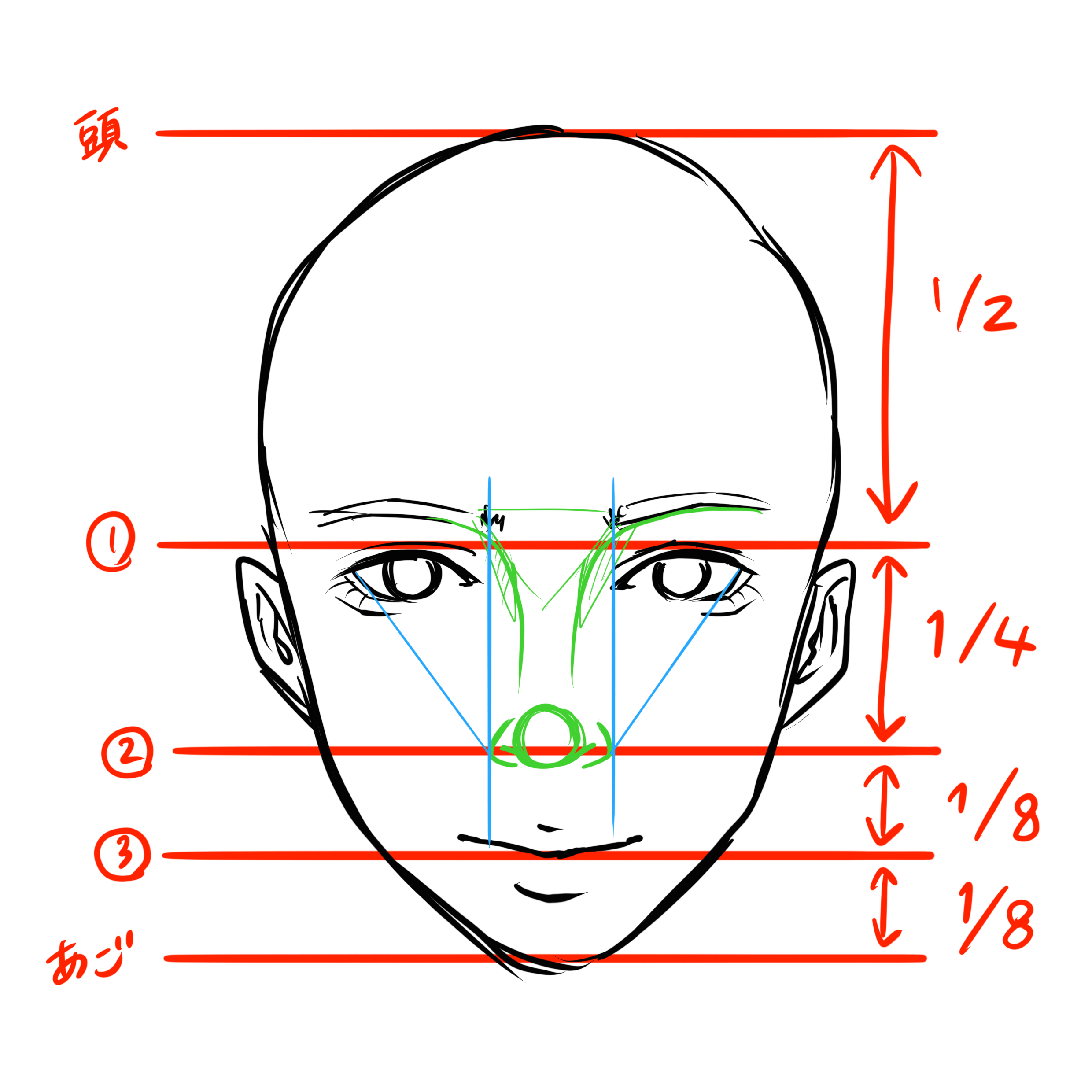 鼻の描き方 顔全体のバランスを担う鼻の描き方を徹底解説 株式会社esolab