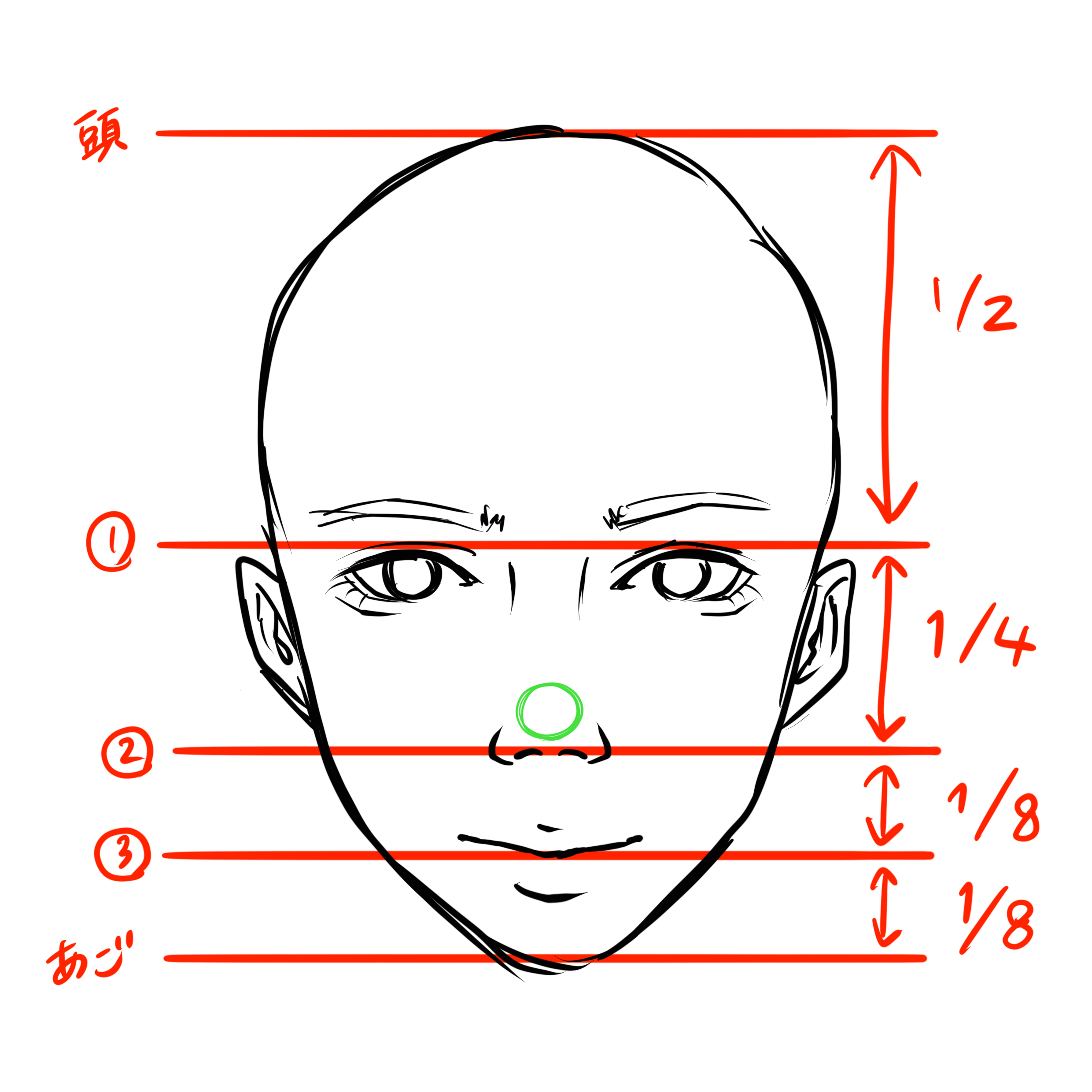 鼻の描き方 顔全体のバランスを担う鼻の描き方を徹底解説 株式会社esolab
