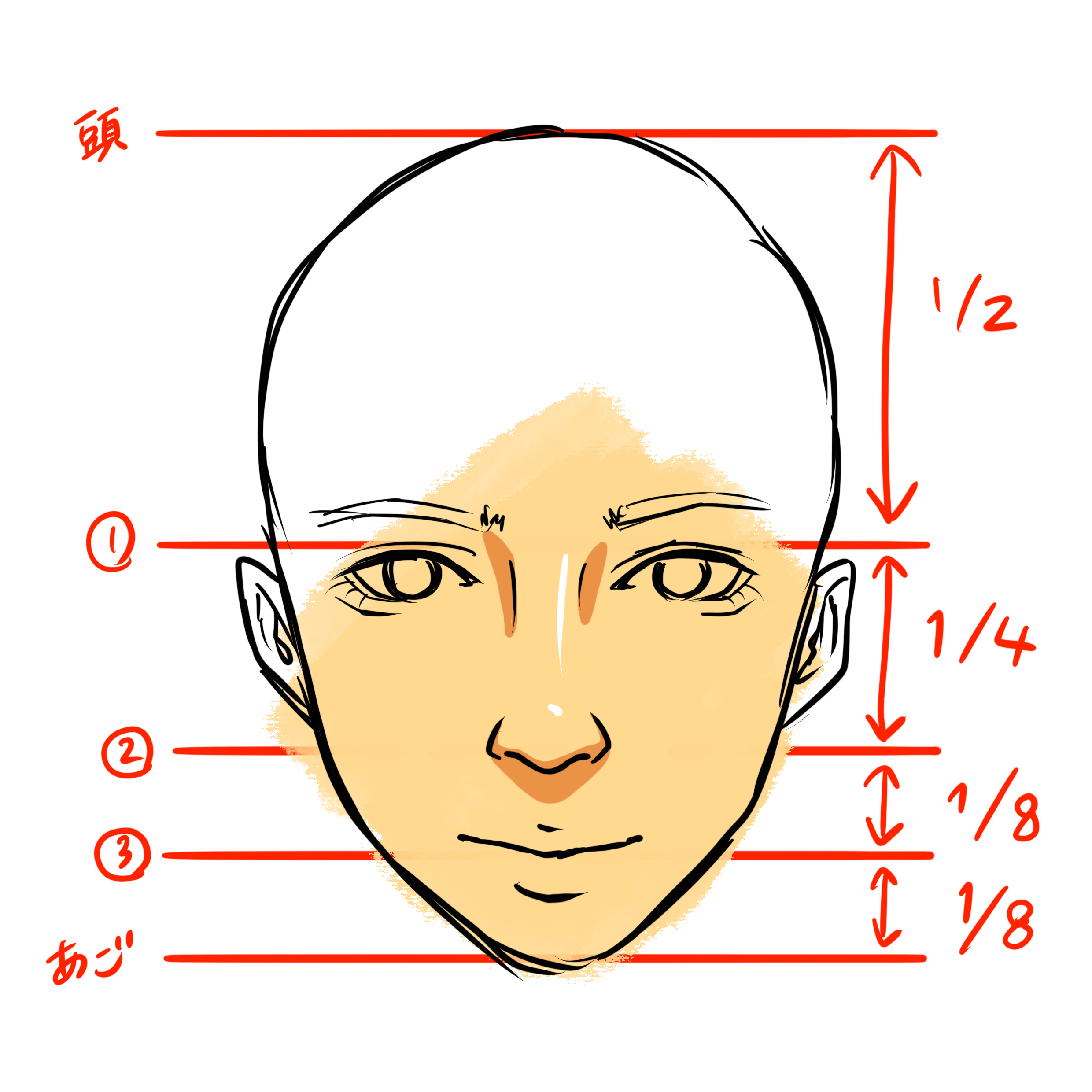 鼻の描き方 顔全体のバランスを担う鼻の描き方を徹底解説 株式会社esolab