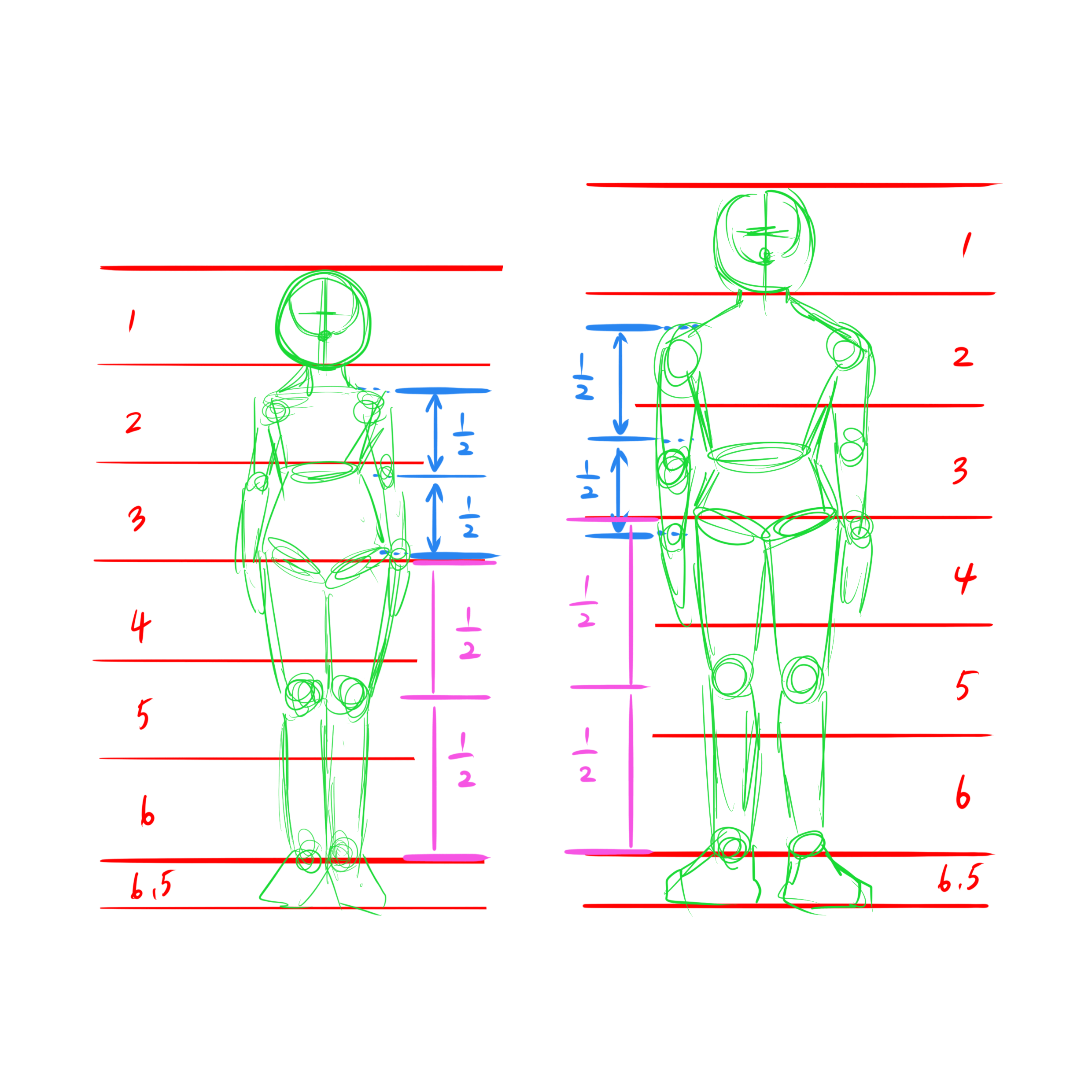 体の描き方 男女の骨格が全然違う 体の描き方を徹底解説 株式会社esolab
