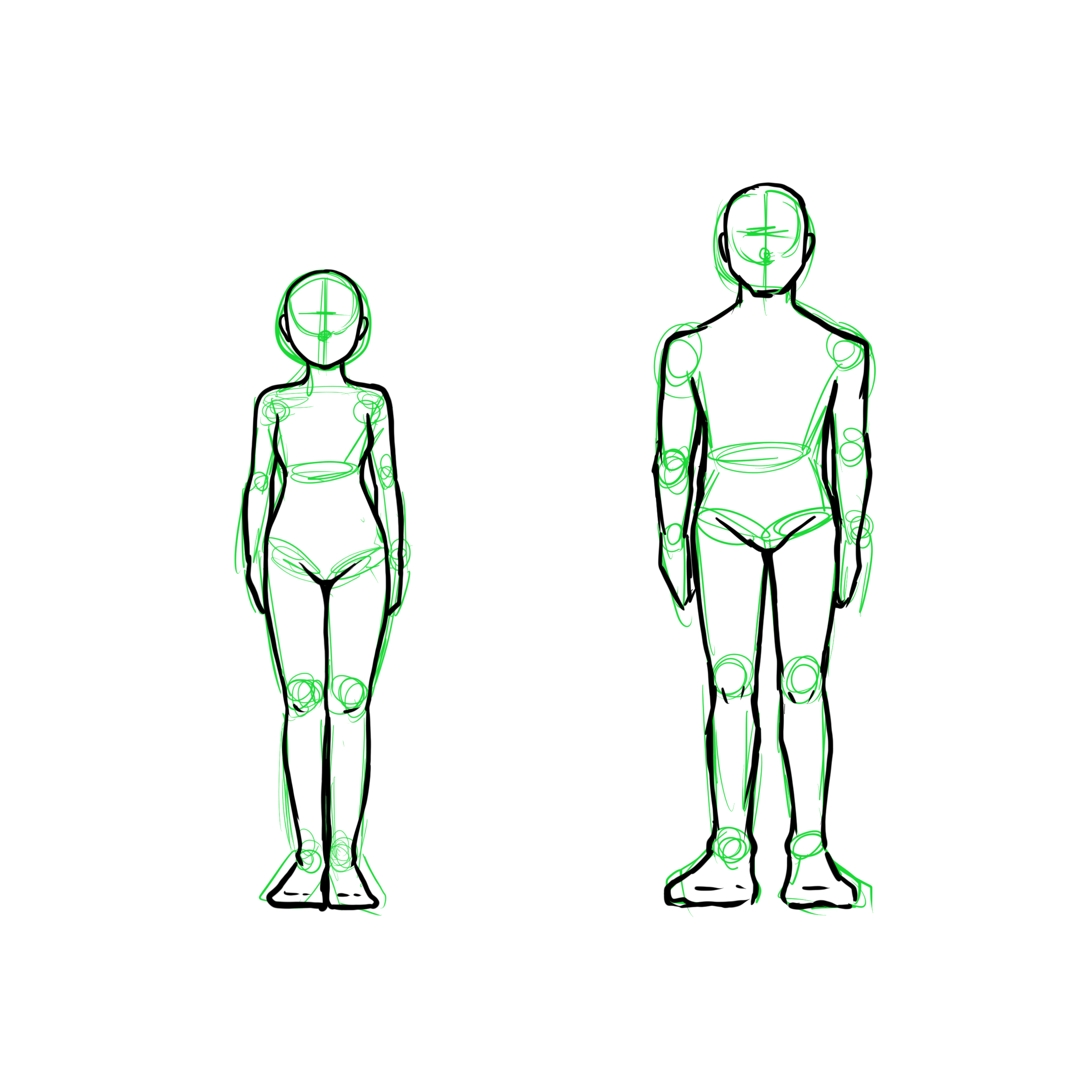 体の描き方 男女の骨格が全然違う 体の描き方を徹底解説 株式会社esolab