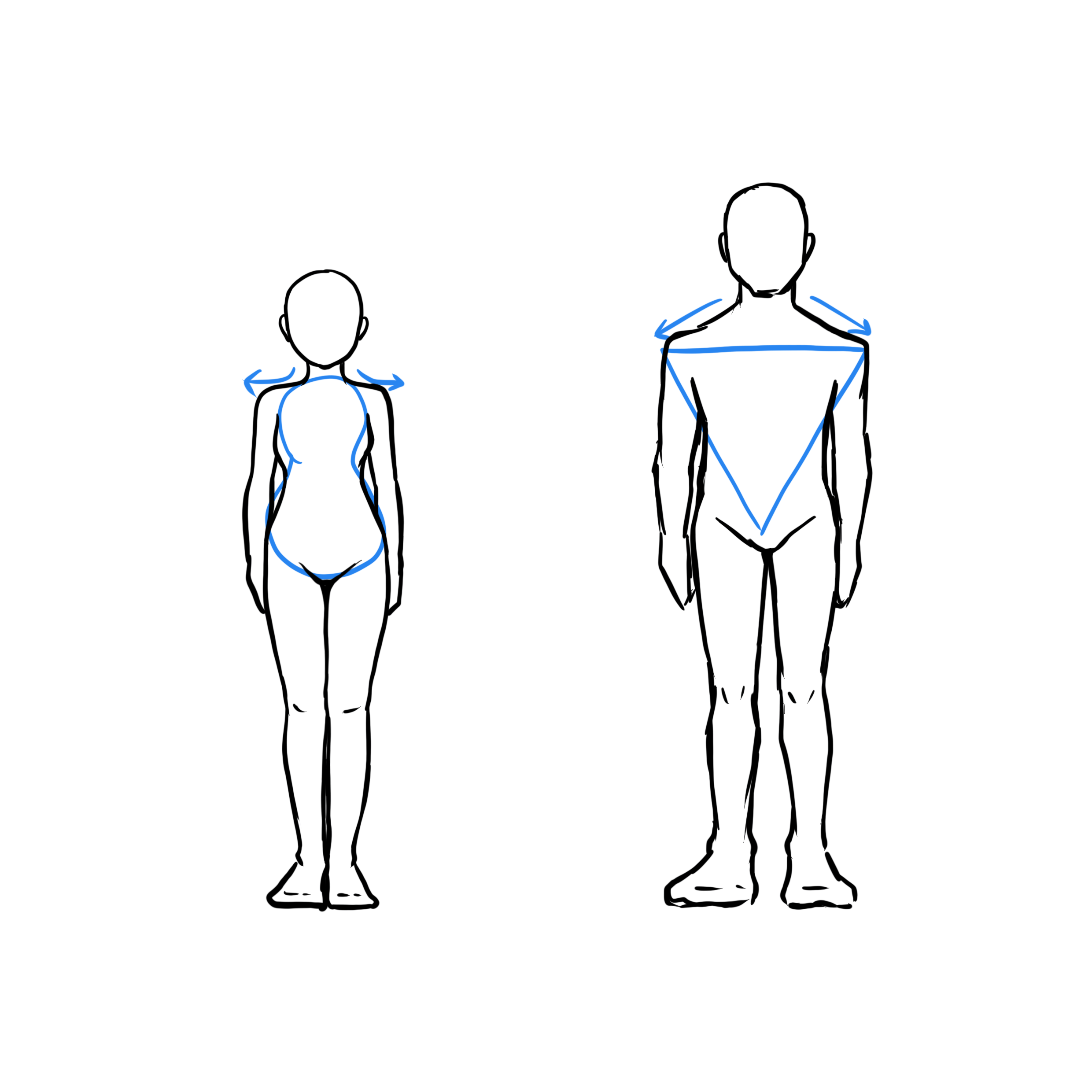 体の描き方 男女の骨格が全然違う 体の描き方を徹底解説 株式会社esolab