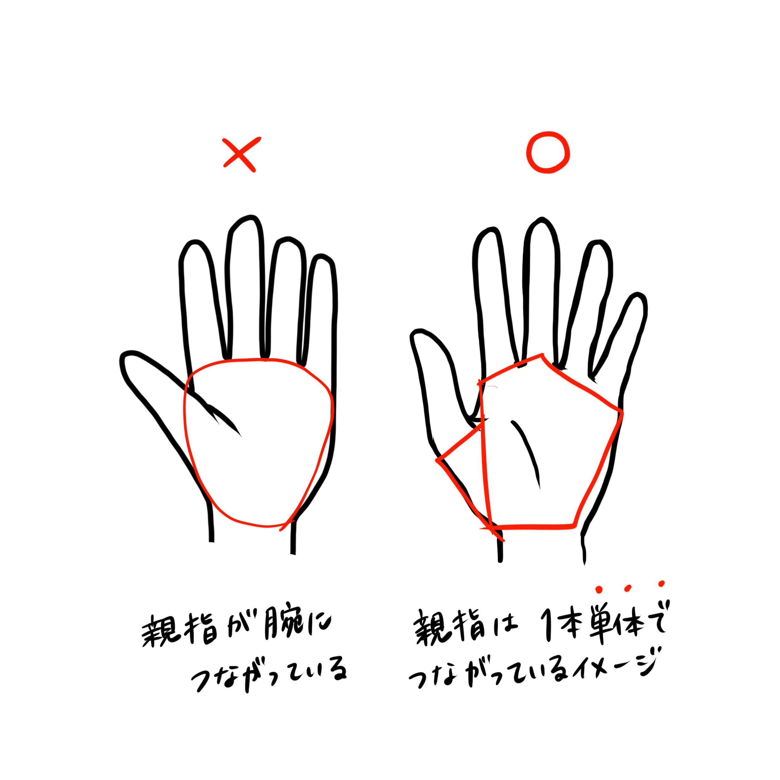 手の描き方 動きが超複雑 手の描き方を徹底解説 株式会社esolab