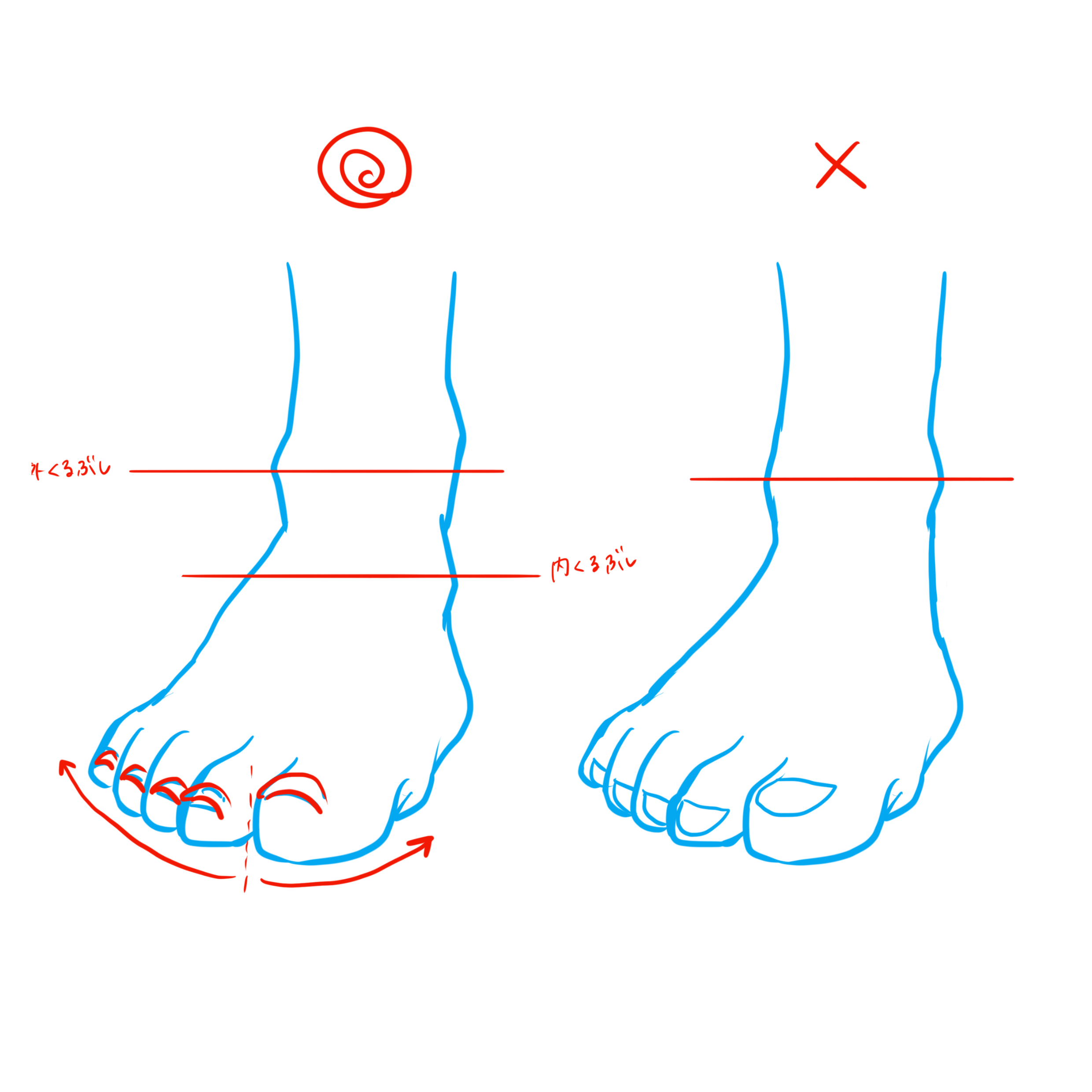 足の描き方 意外と描けない 足の描き方を徹底解説 株式会社esolab