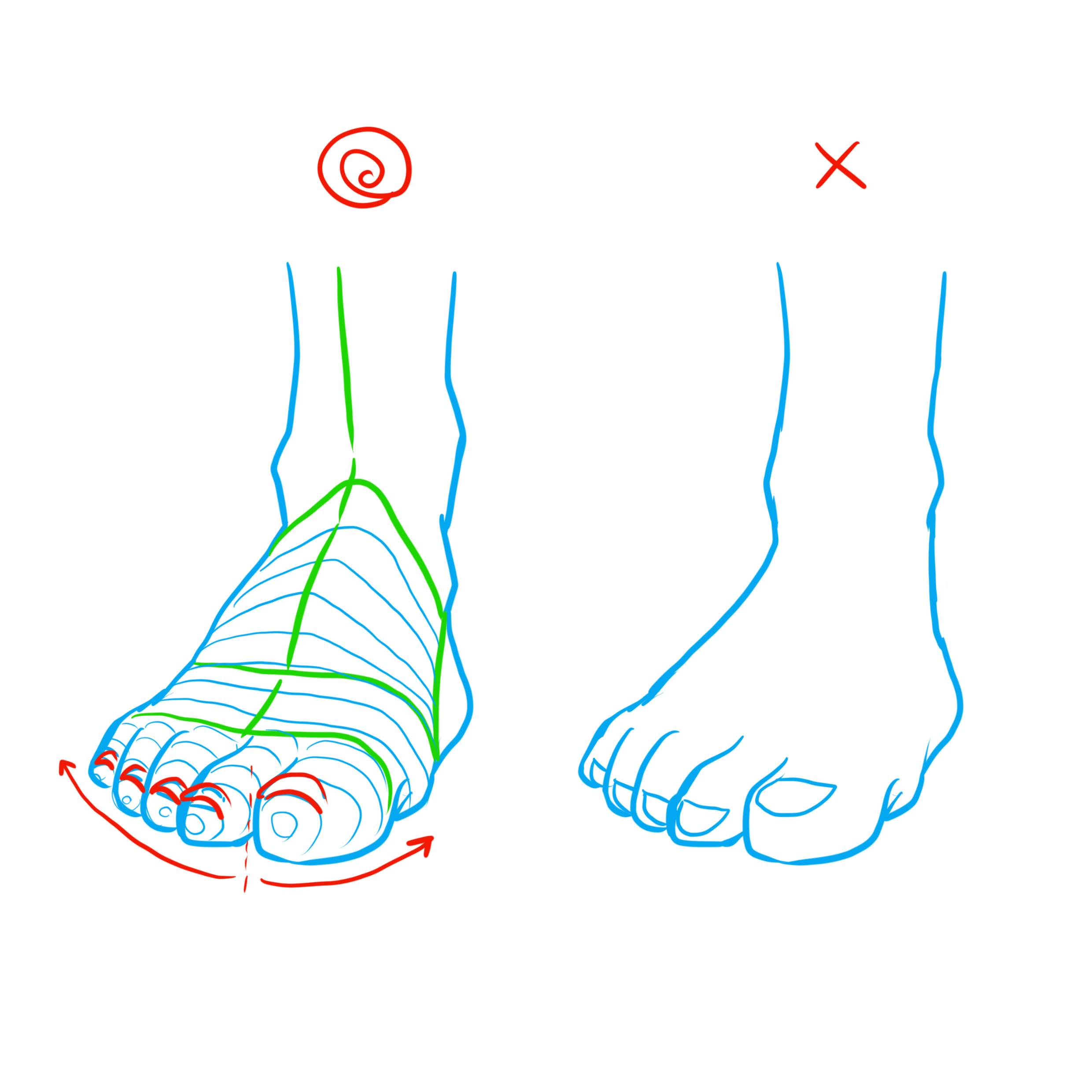 足の描き方 意外と描けない 足の描き方を徹底解説 株式会社esolab