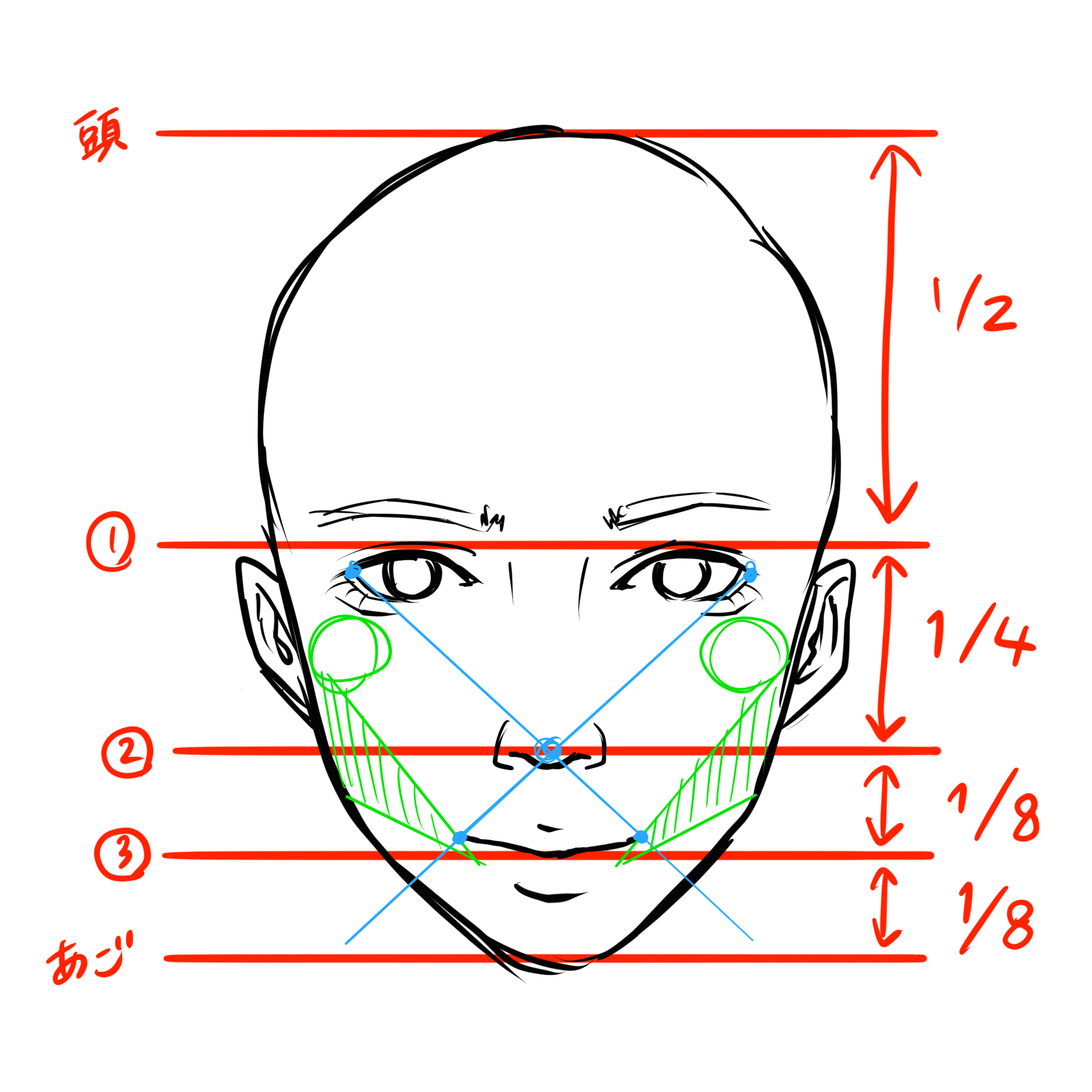 口の描き方 複雑な動きをする口の描き方を徹底解説 株式会社esolab