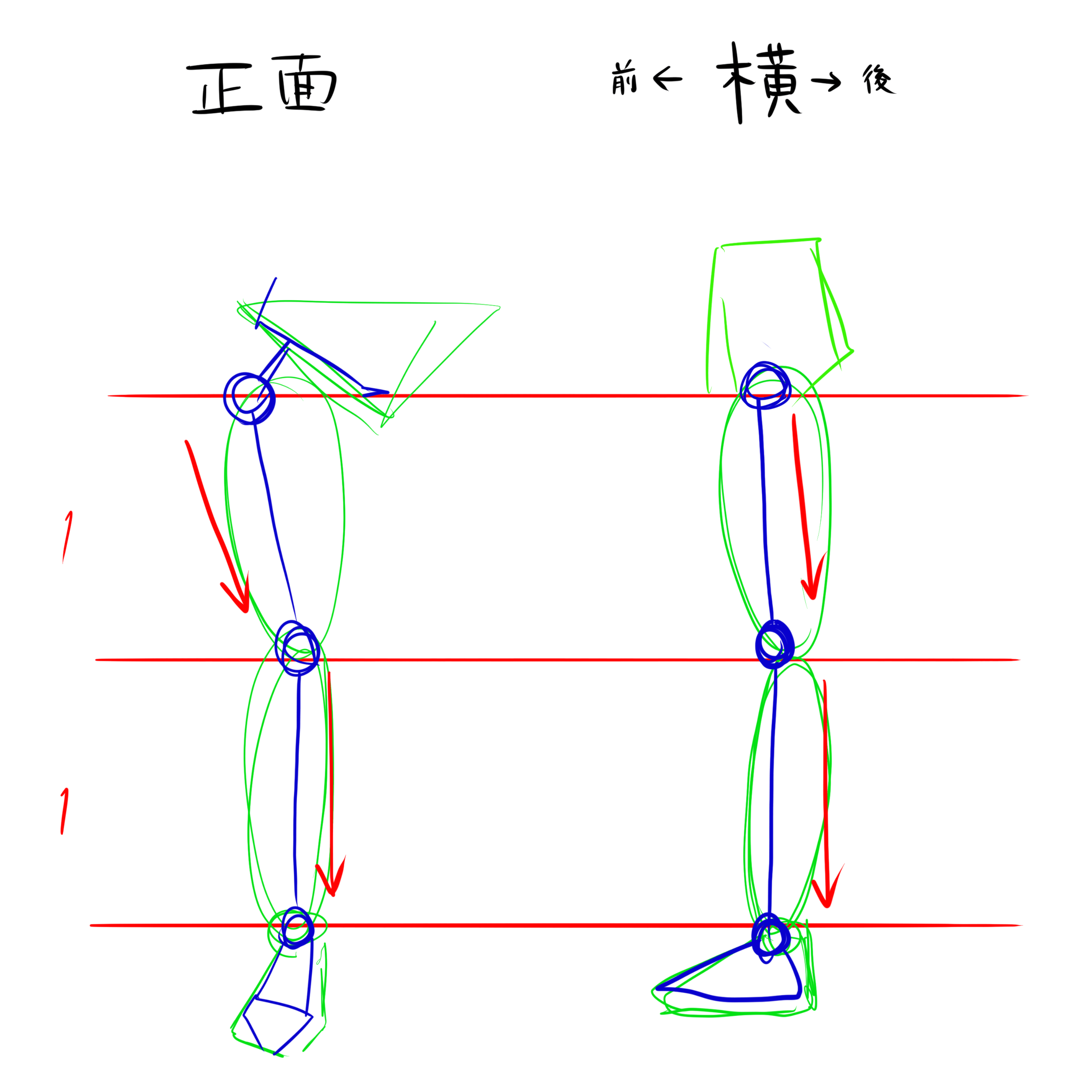 脚の描き方 バランスが難しい 脚の描き方を徹底解説 株式会社esolab