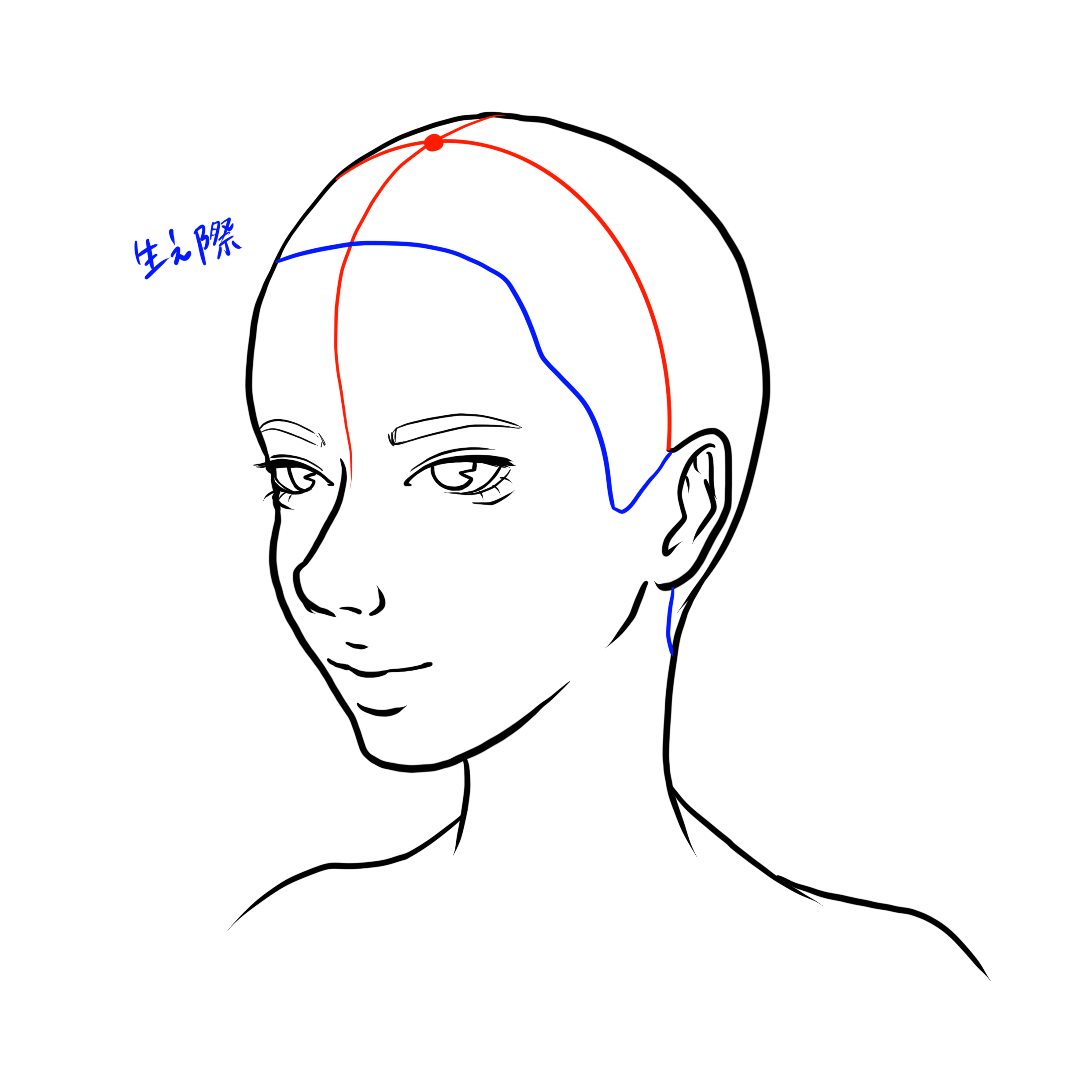 髪の毛の描き方 複雑な髪の毛の描き方を徹底解説 株式会社esolab