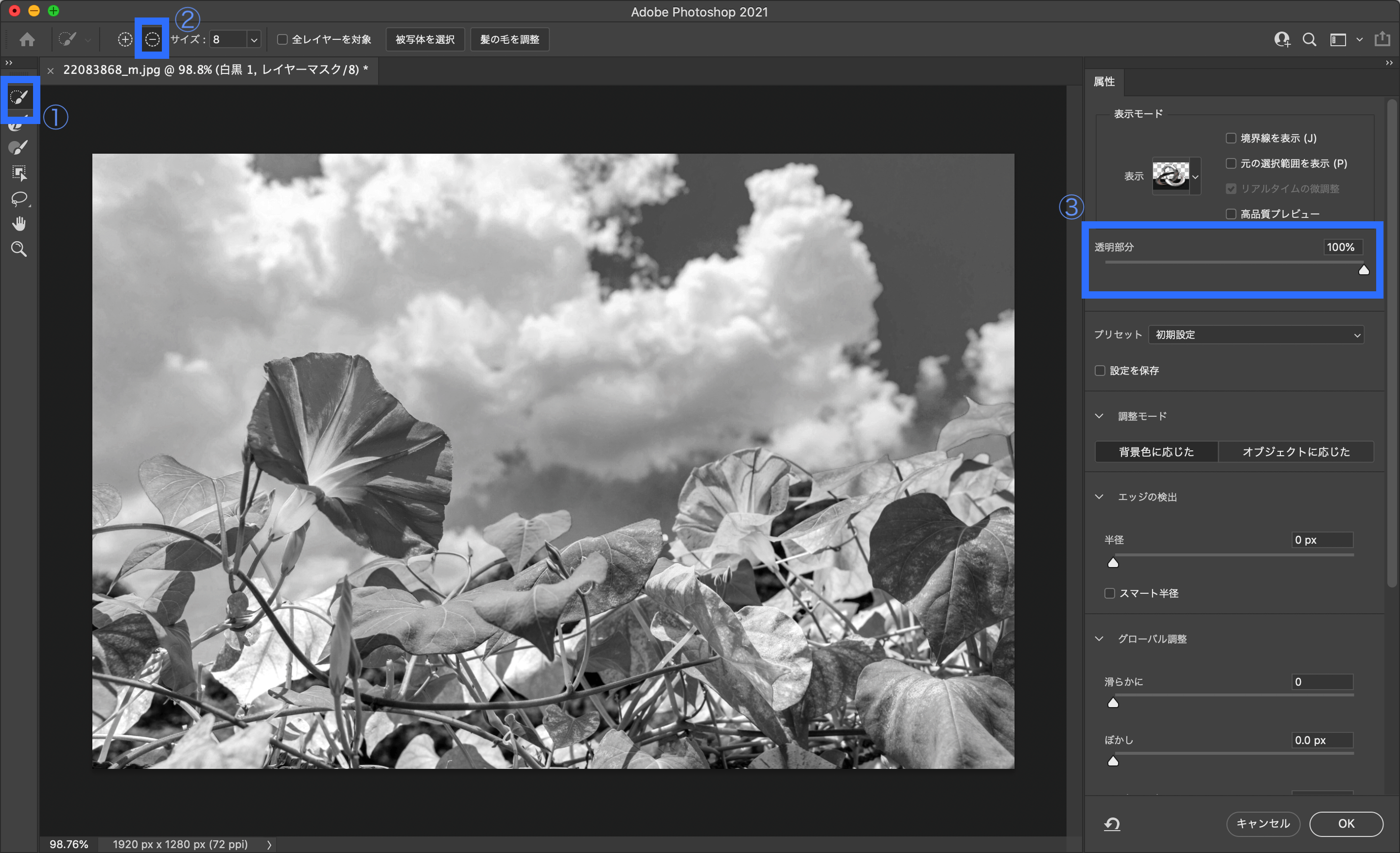 Photoshop 一部だけカラーのモノクロ写真を制作する簡単な方法 株式会社esolab