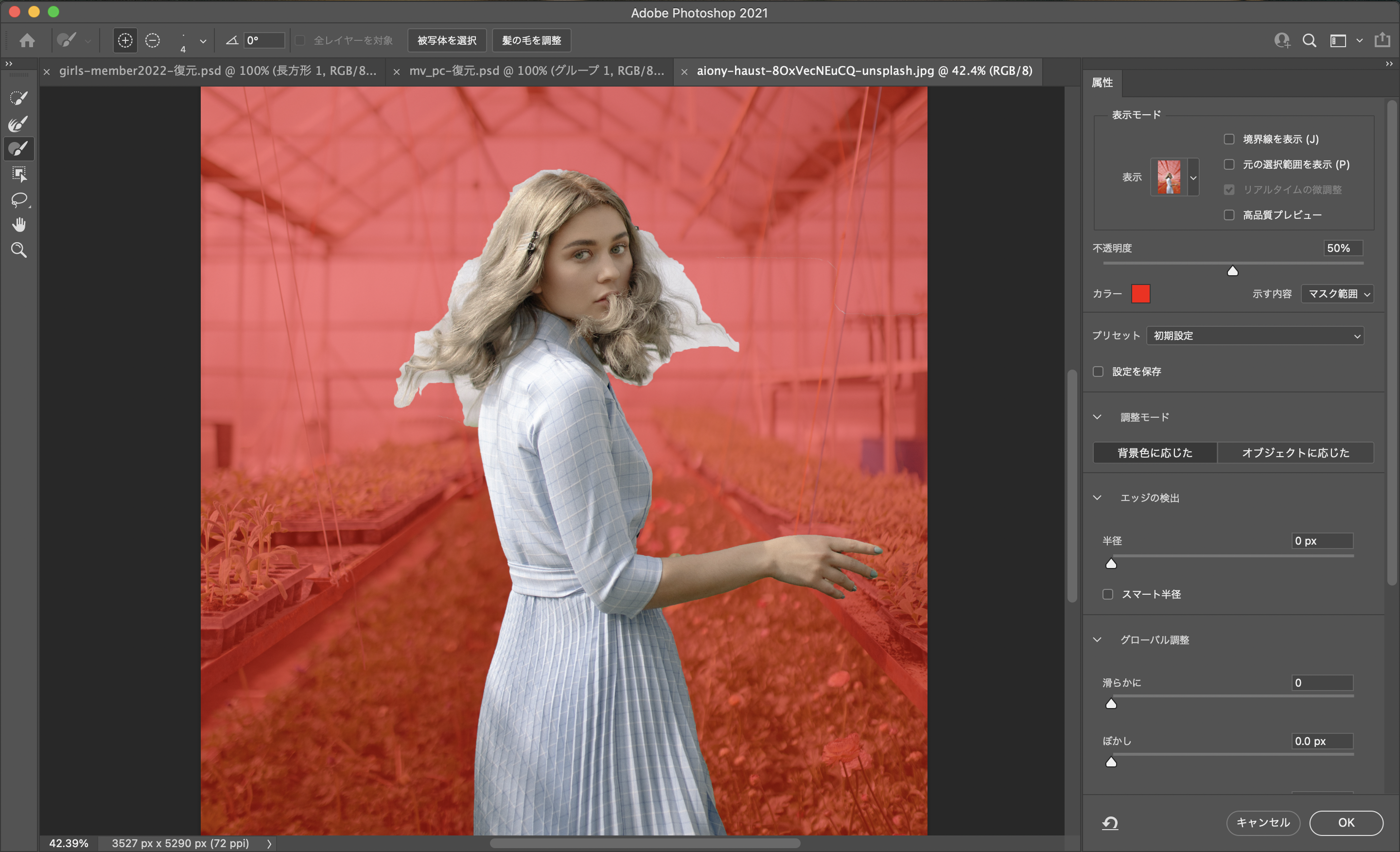 Photoshop 髪の毛を綺麗に切り抜く方法 株式会社esolab